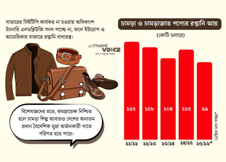 ইউরোপ-আমেরিকা বাজার হারিয়ে চীনের দিকেই ঝুঁকছে চামড়া শিল্প