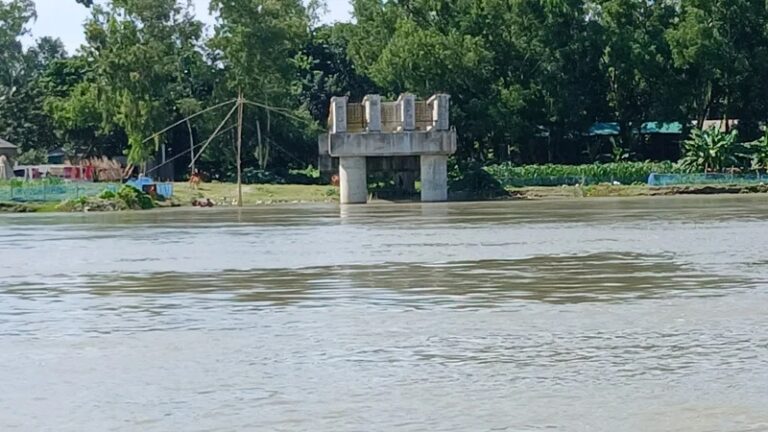 ছয় বছরে সেতুর তিন পিলার নির্মাণ, খরচ ১০ কোটি টাকা