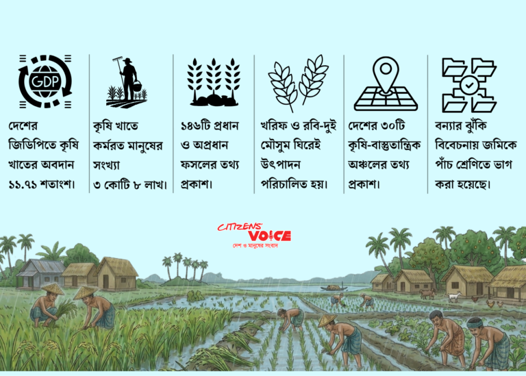 শিল্প-সেবার সম্প্রসারণেও কৃষিই গ্রামীণ অর্থনীতির প্রাণ