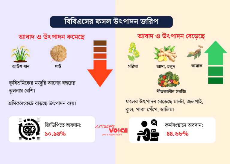 লাভের আশায় ধান-পাট ছেড়ে বিকল্প ফসলে ঝুঁকছেন কৃষক