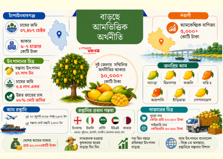 দেশের অর্থনীতিতে বাড়ছে আমের অবদান