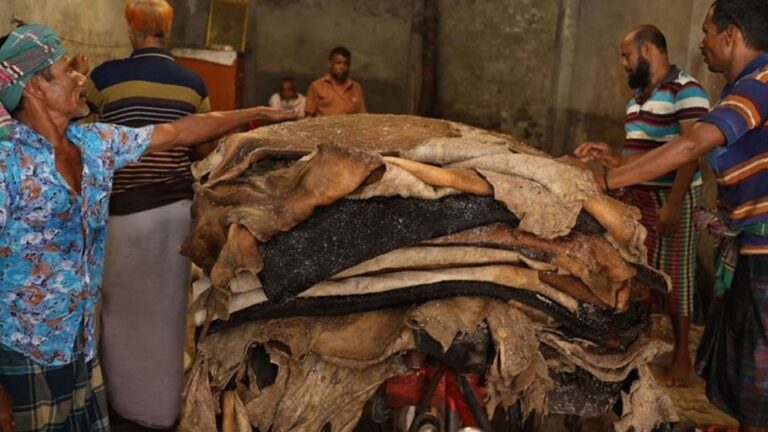 স্বল্পসুদের ঋণেই কি ঘুরে দাঁড়াবে চামড়া শিল্প?
