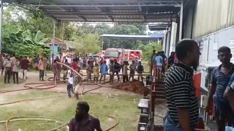 আশুলিয়ায় সিগারেট কোম্পানি টোবাকোর গোডাউনে আগুন, নিয়ন্ত্রণে ছয় ইউনিট