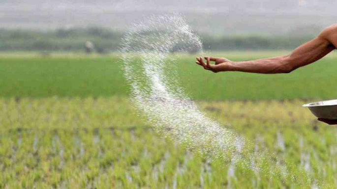 সার আমদানিতে যুক্ত হচ্ছে ব্র্যাক ও প্রাইম ব্যাংক, রাষ্ট্রীয় গ্যারান্টি চায় বিসিআইসি