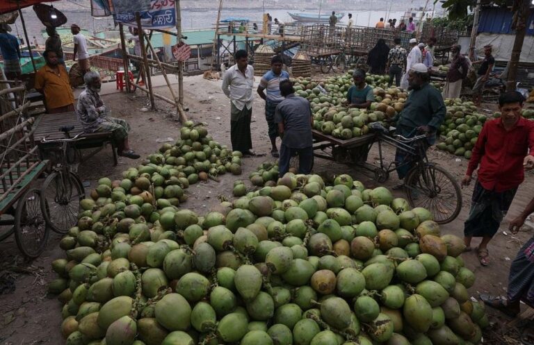 তৃষ্ণা এখন বিলাসিতা: ডাবের দাম ছুঁয়েছে ২২০ টাকা