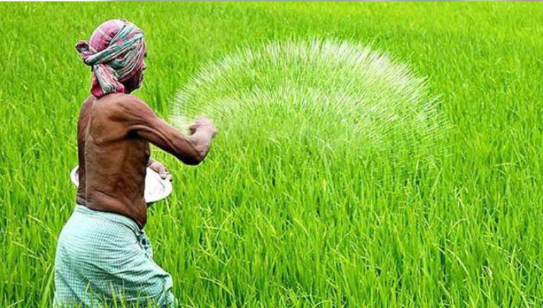 রংপুরে জৈব সারের ব্যবহার করে মাটির উর্বরতা আনছেন কৃষকরা